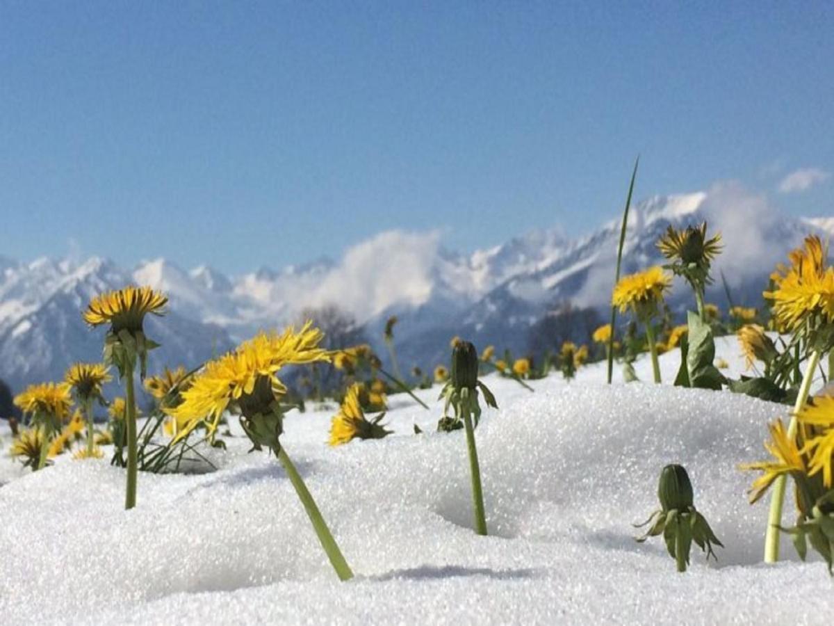 Hemerhof - Ferienwohnungen Oberstdorf Luaran gambar