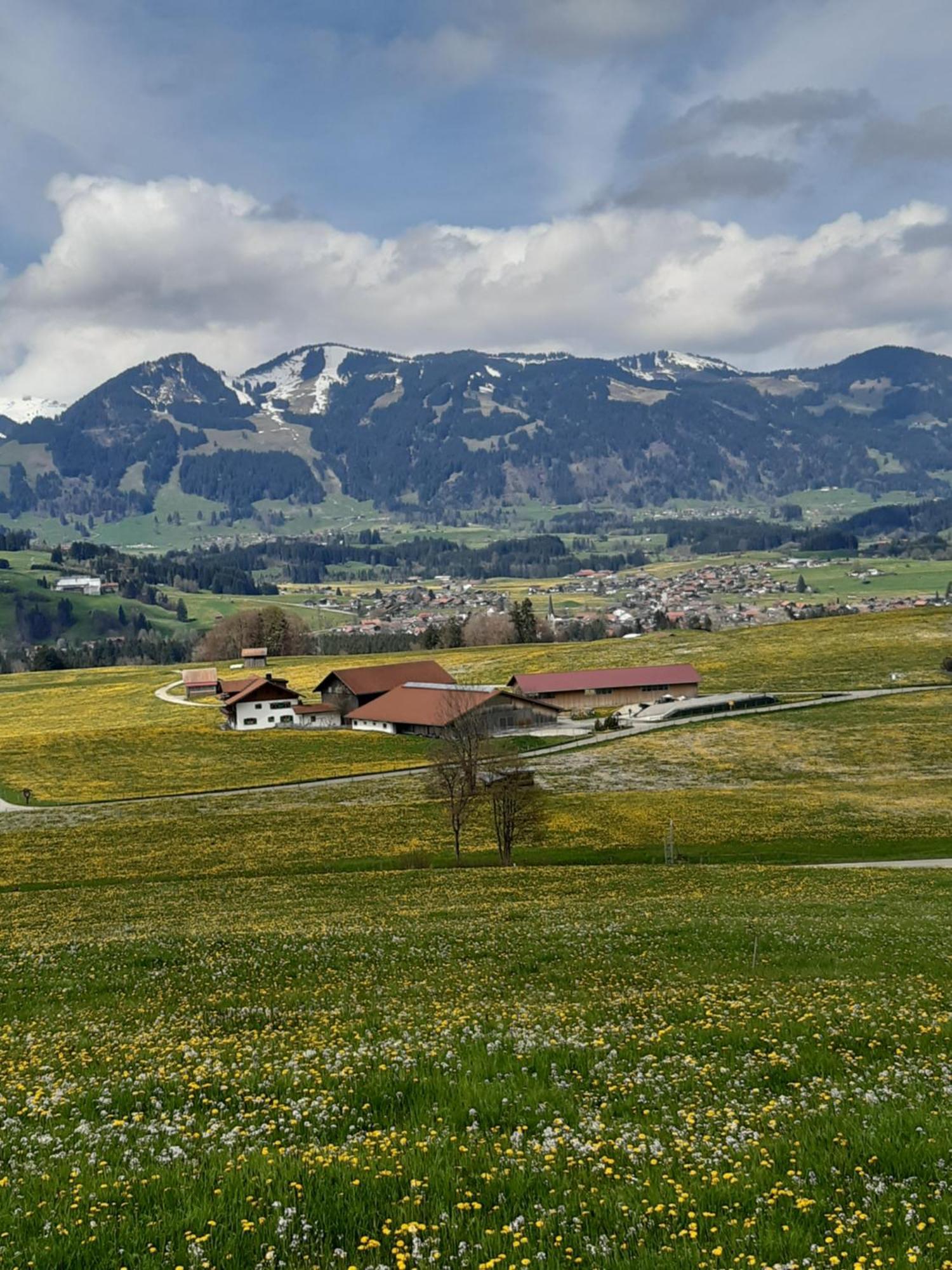 Hemerhof - Ferienwohnungen Oberstdorf Luaran gambar